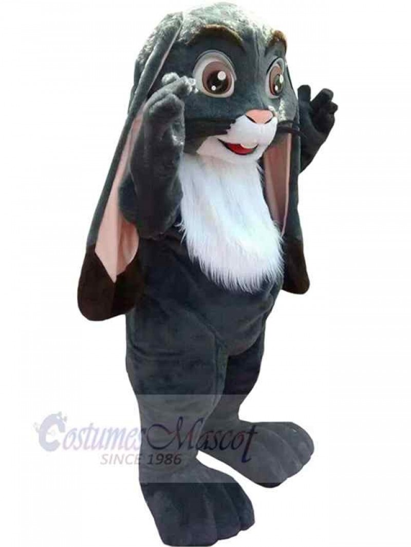 Bunny mascot costume