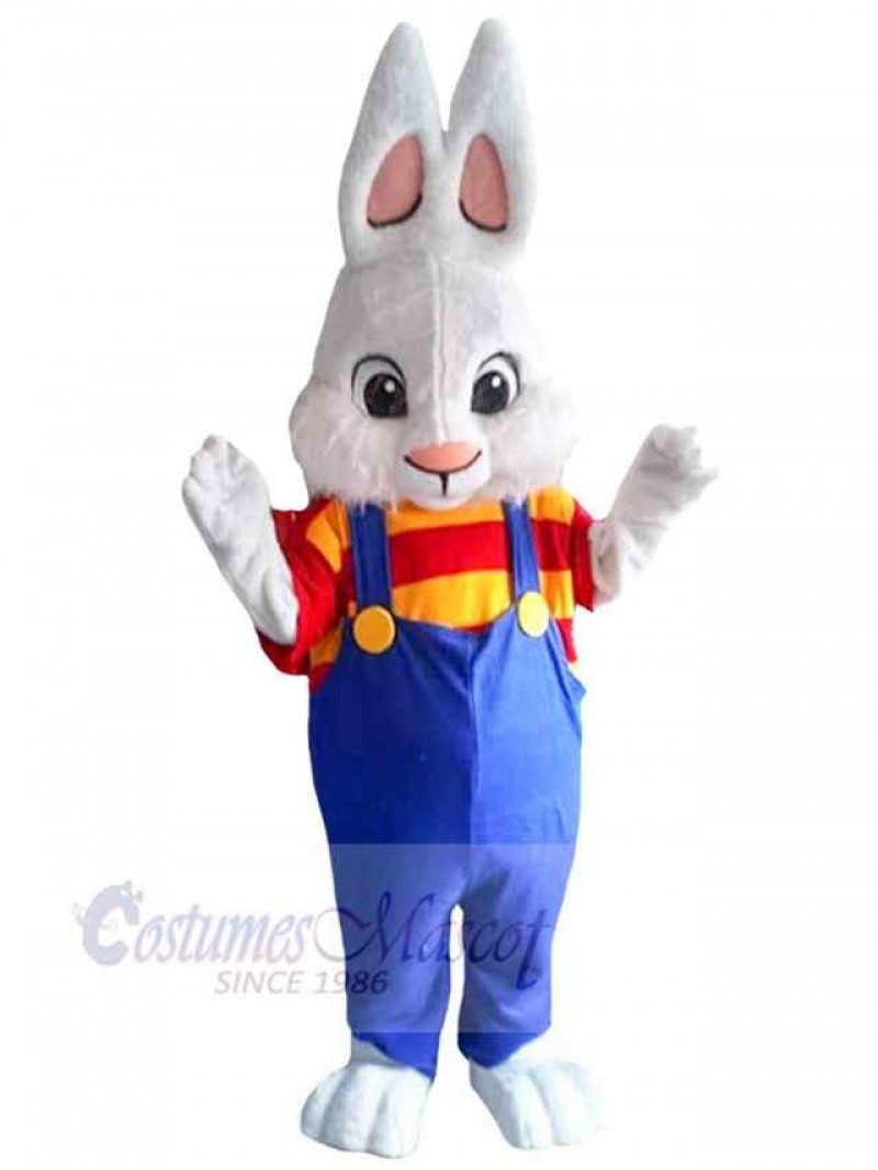 Bunny mascot costume