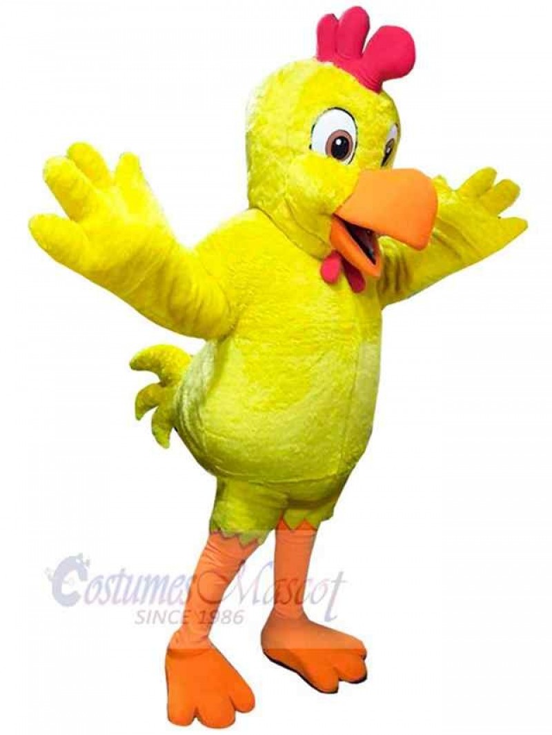 Chicken mascot costume