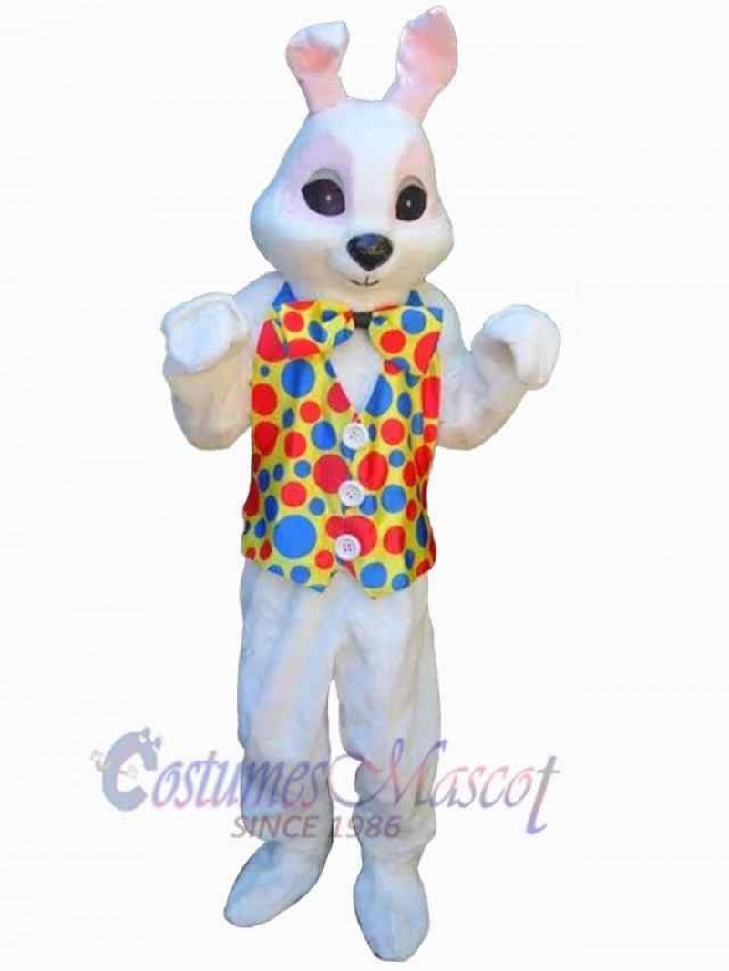 Easter Bunny Rabbit mascot costume