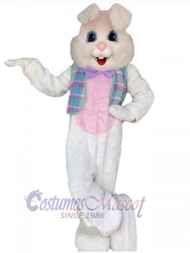 Easter Bunny Rabbit mascot costume