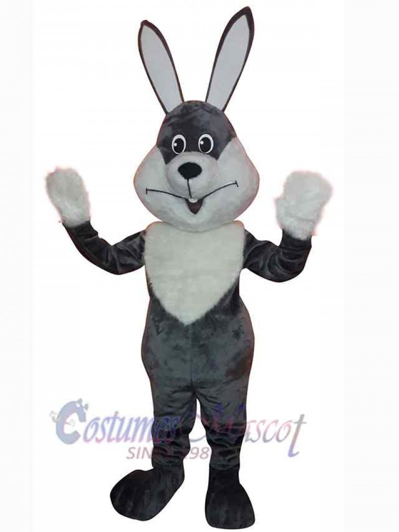 Easter Bunny Rabbit mascot costume