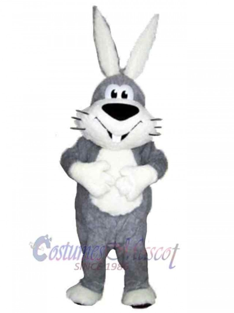 Easter Bunny Rabbit mascot costume