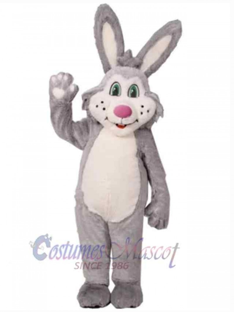 Easter Bunny Rabbit mascot costume