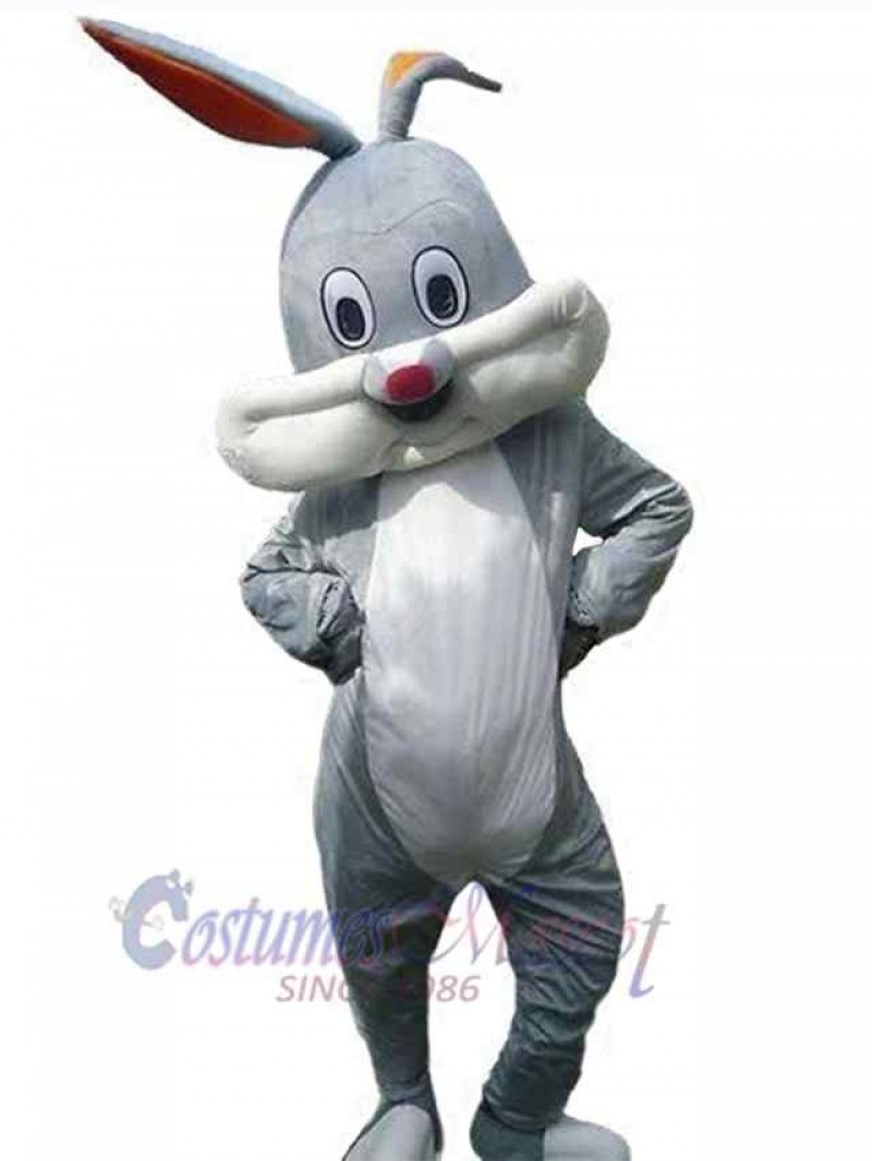 Easter Bunny Rabbit mascot costume