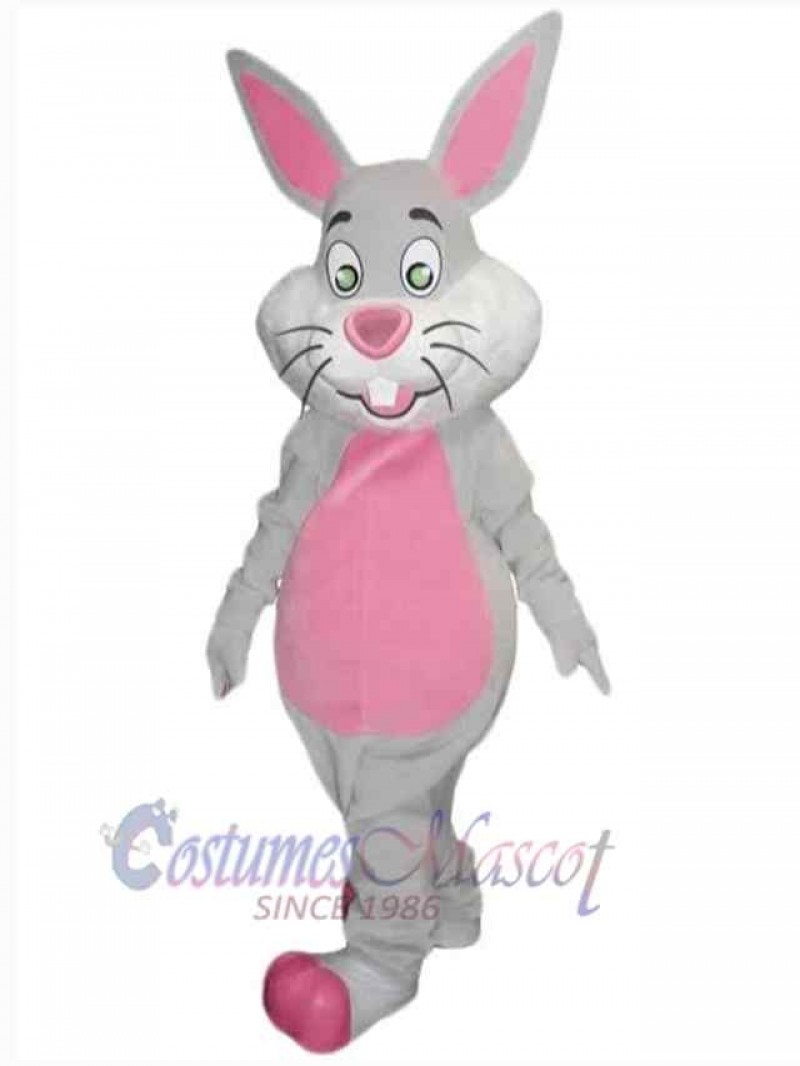 Easter Bunny Rabbit mascot costume