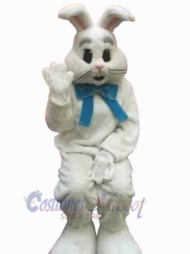 Easter Bunny Rabbit mascot costume