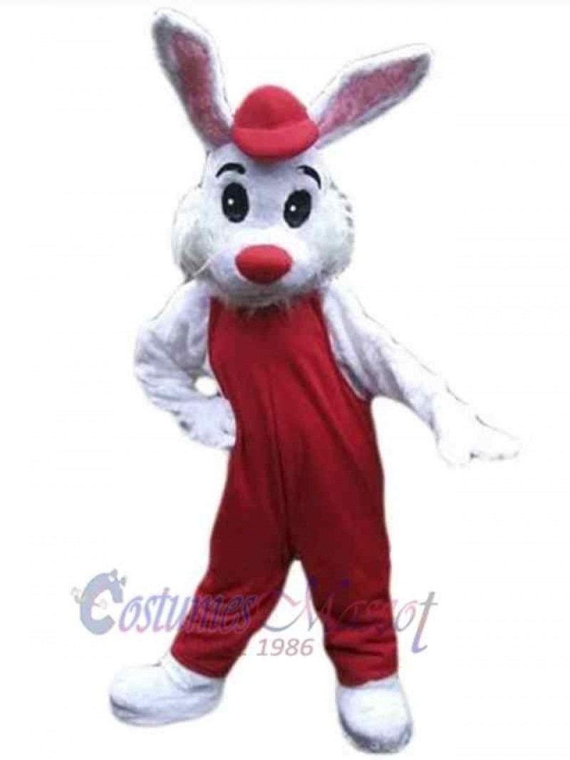 Easter Bunny Rabbit mascot costume