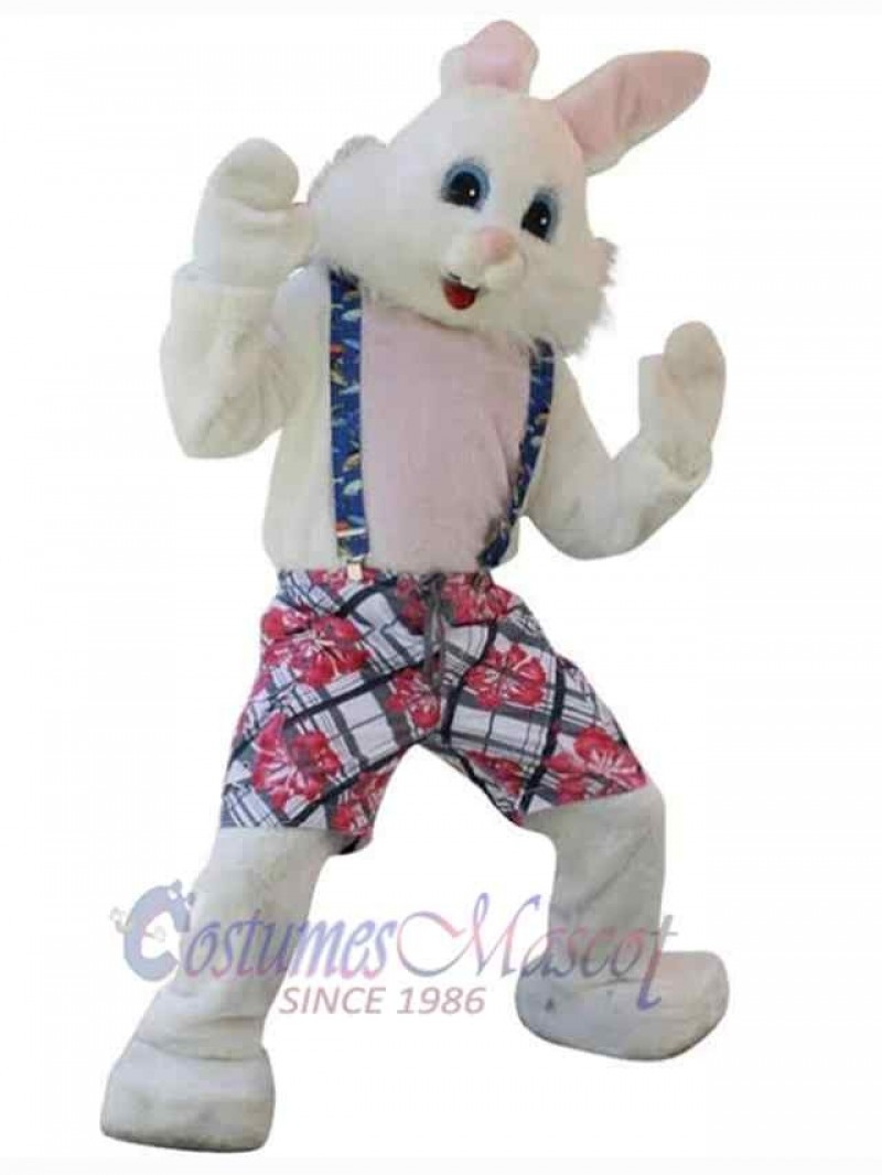 Easter Bunny Rabbit mascot costume