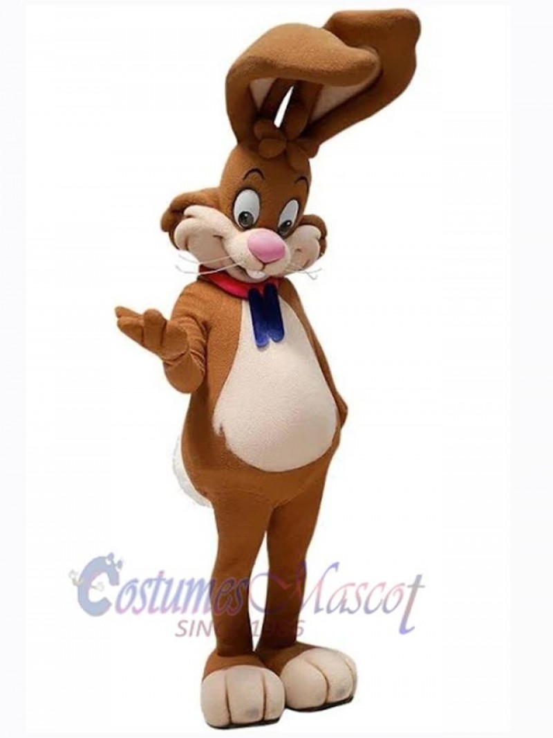 Easter Bunny Rabbit mascot costume