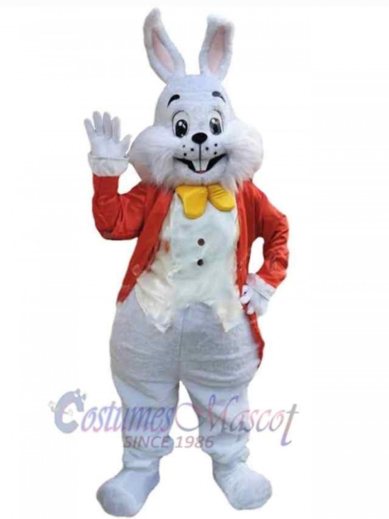 Easter Bunny Rabbit mascot costume