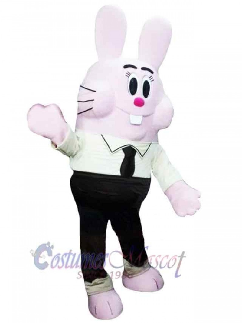 Easter Bunny Rabbit mascot costume