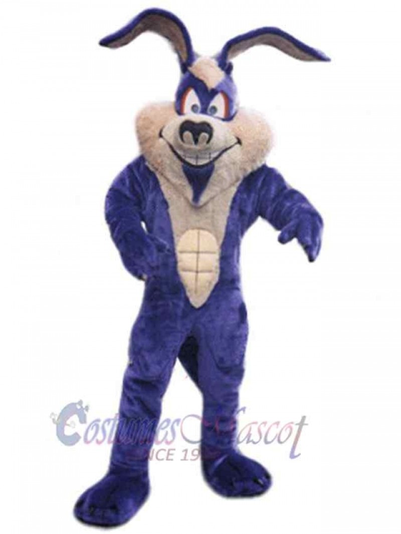 Easter Bunny Rabbit mascot costume