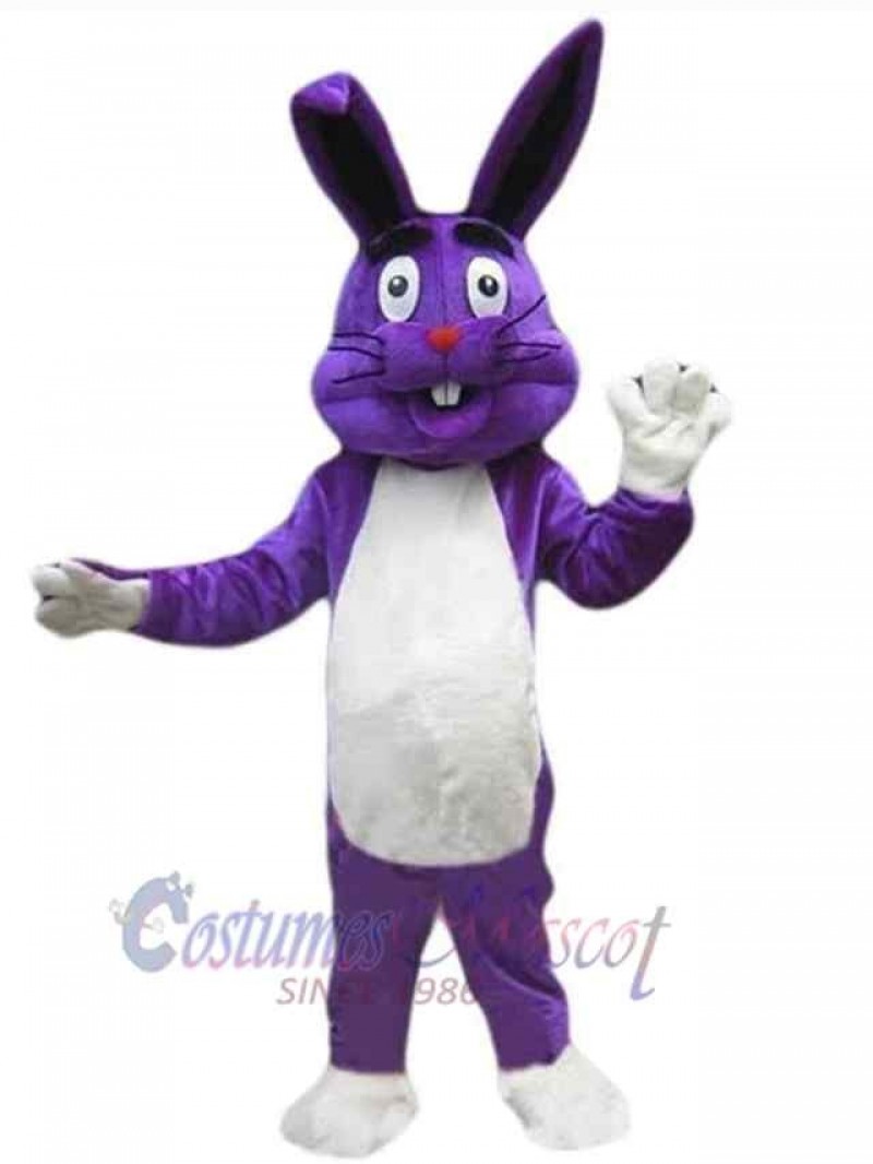 Easter Bunny Rabbit mascot costume