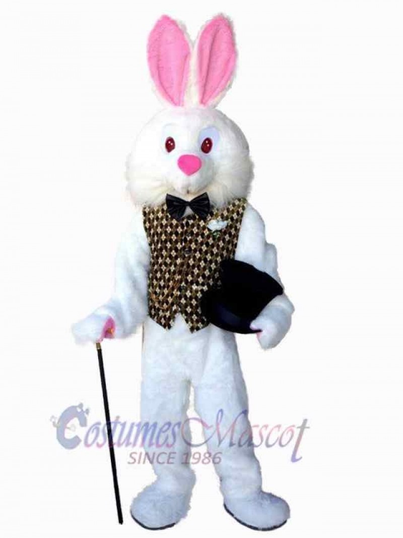 Easter Bunny Rabbit mascot costume
