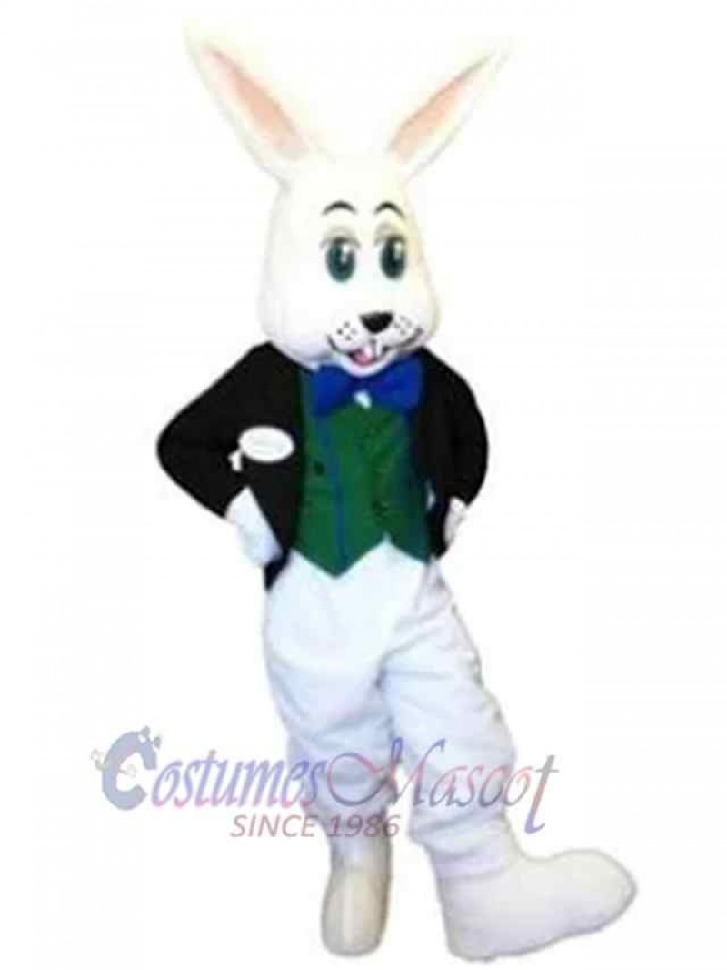 Easter Bunny Rabbit mascot costume