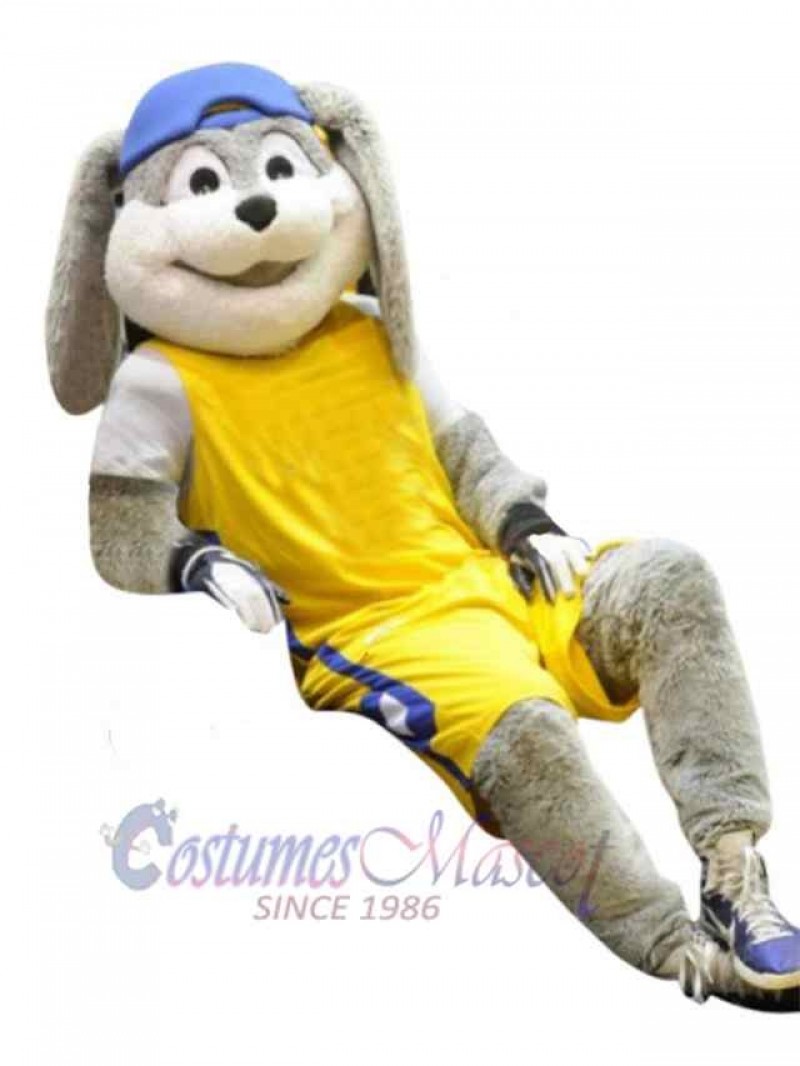 Easter Bunny Rabbit mascot costume