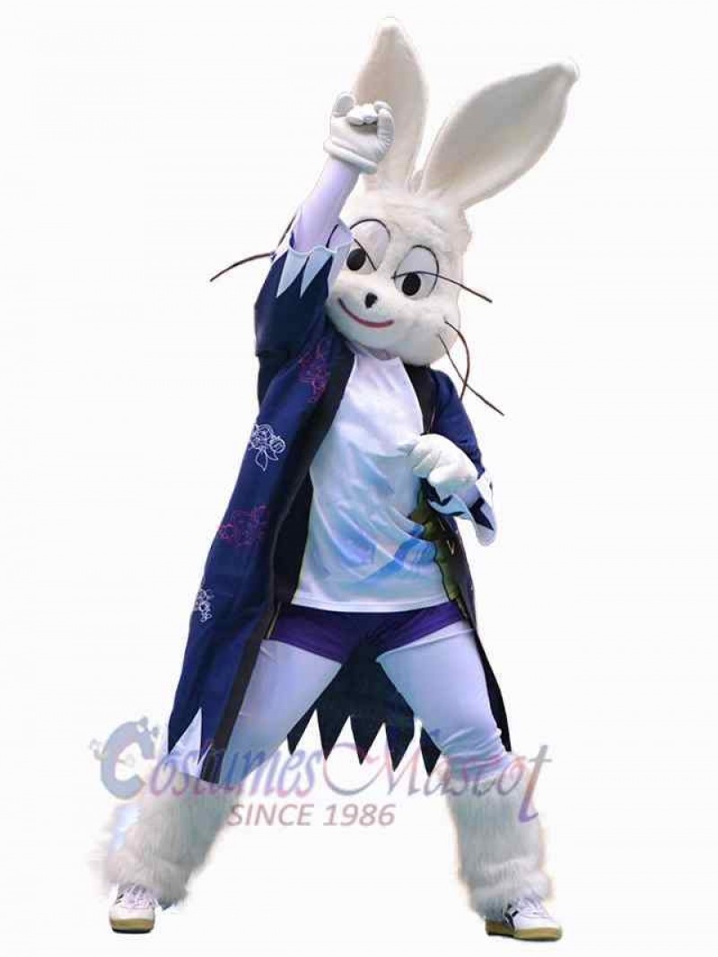 Easter Bunny Rabbit mascot costume