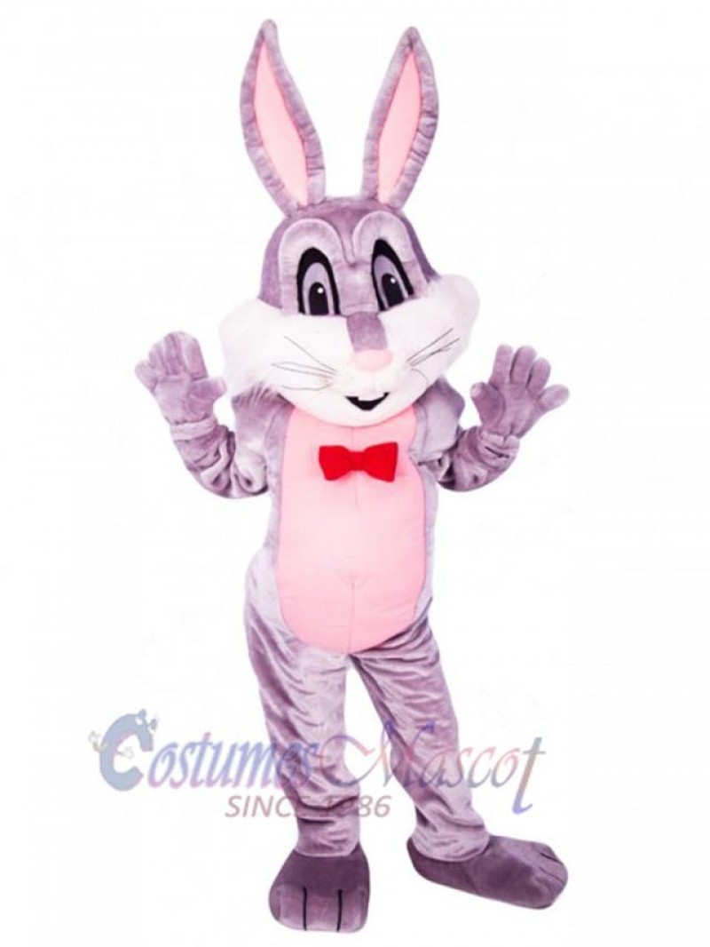 Easter Bunny Rabbit mascot costume