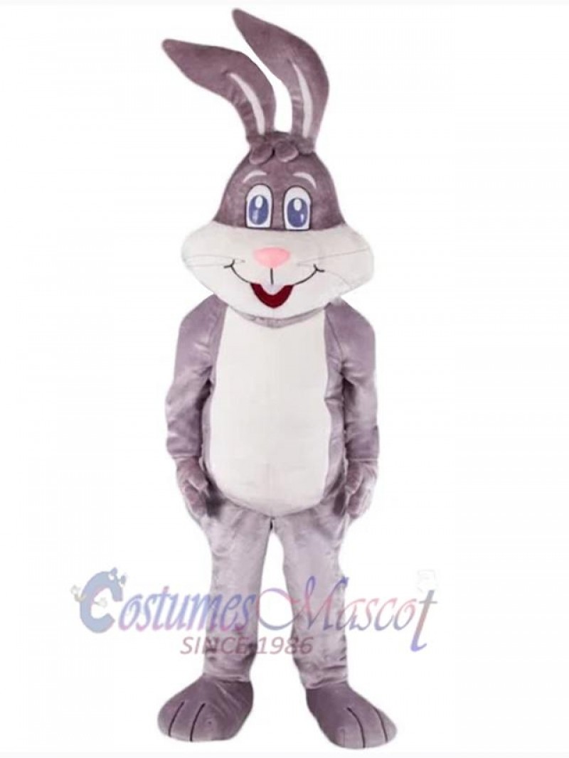 Easter Bunny Rabbit mascot costume