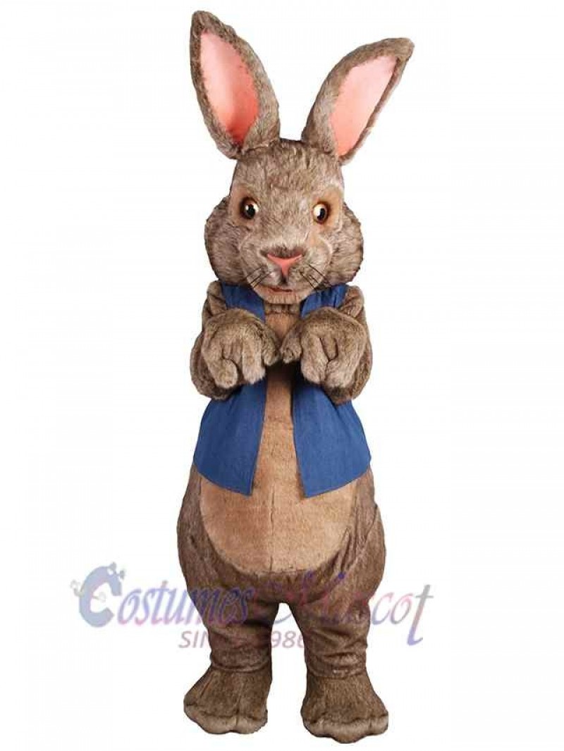 Easter Bunny Rabbit mascot costume