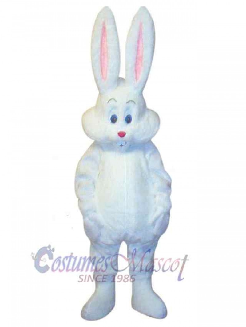 Easter Bunny Rabbit mascot costume