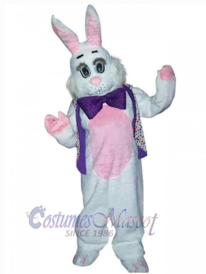 Easter Bunny Rabbit mascot costume