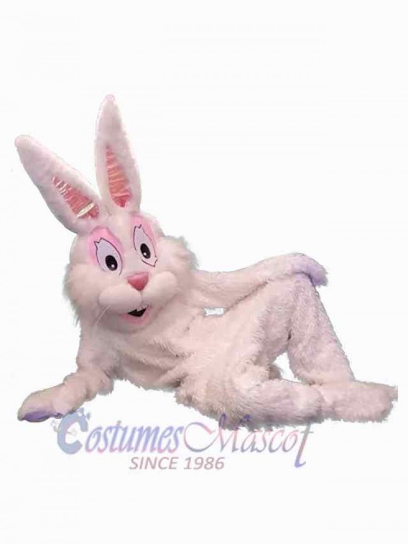 Easter Bunny Rabbit mascot costume