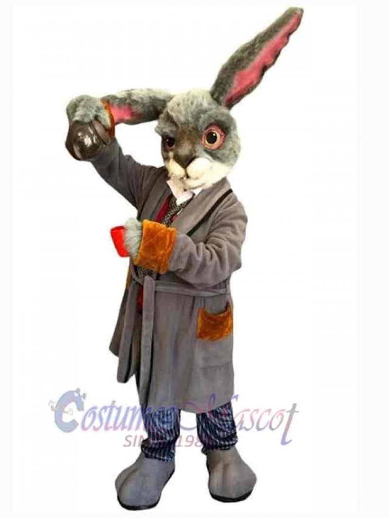 Easter Bunny Rabbit mascot costume