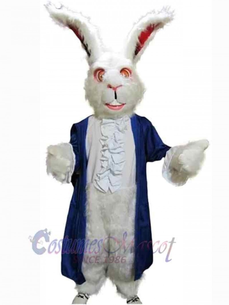 Easter Bunny Rabbit mascot costume