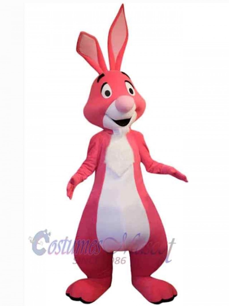 Easter Bunny Rabbit mascot costume