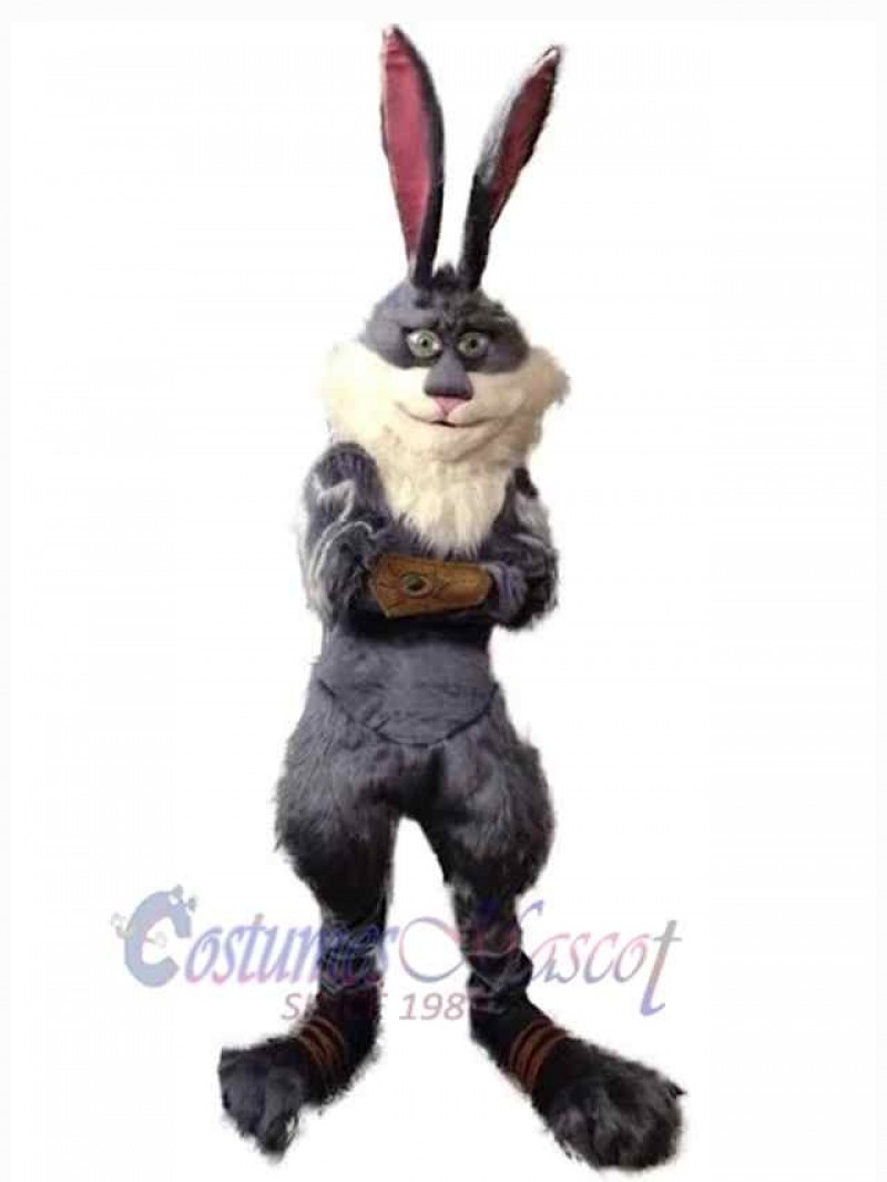 Easter Bunny Rabbit mascot costume
