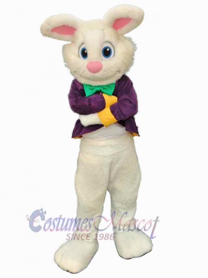 Easter Bunny Rabbit mascot costume