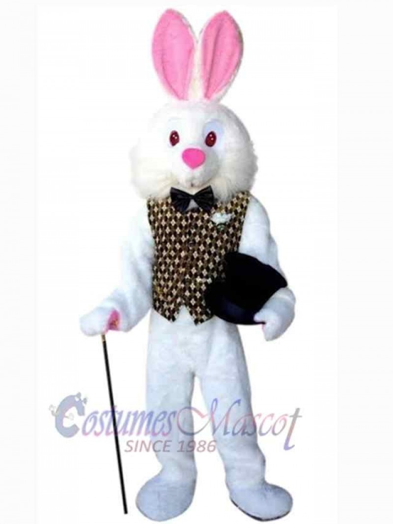 Easter Bunny Rabbit mascot costume