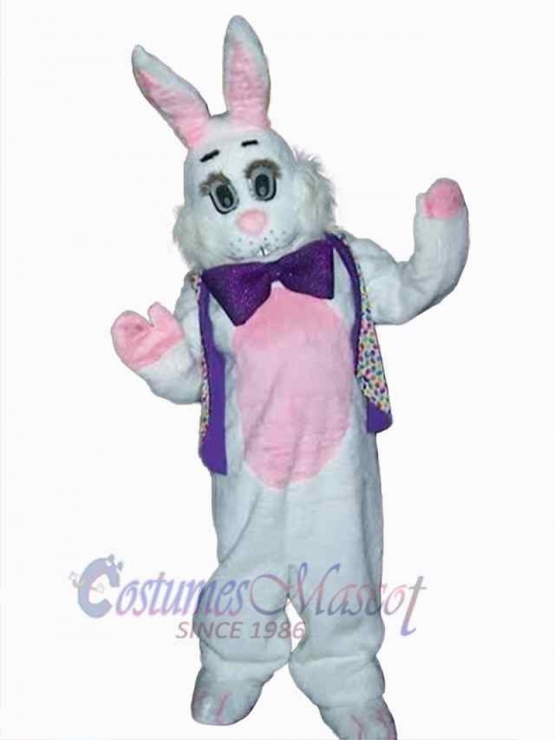 Easter Bunny Rabbit mascot costume