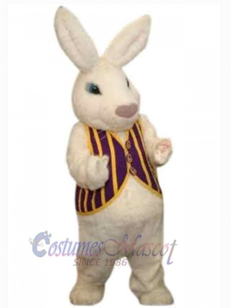 Easter Bunny Rabbit mascot costume