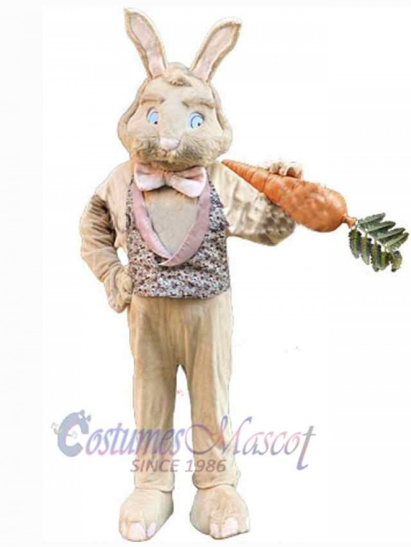 Easter Bunny Rabbit mascot costume