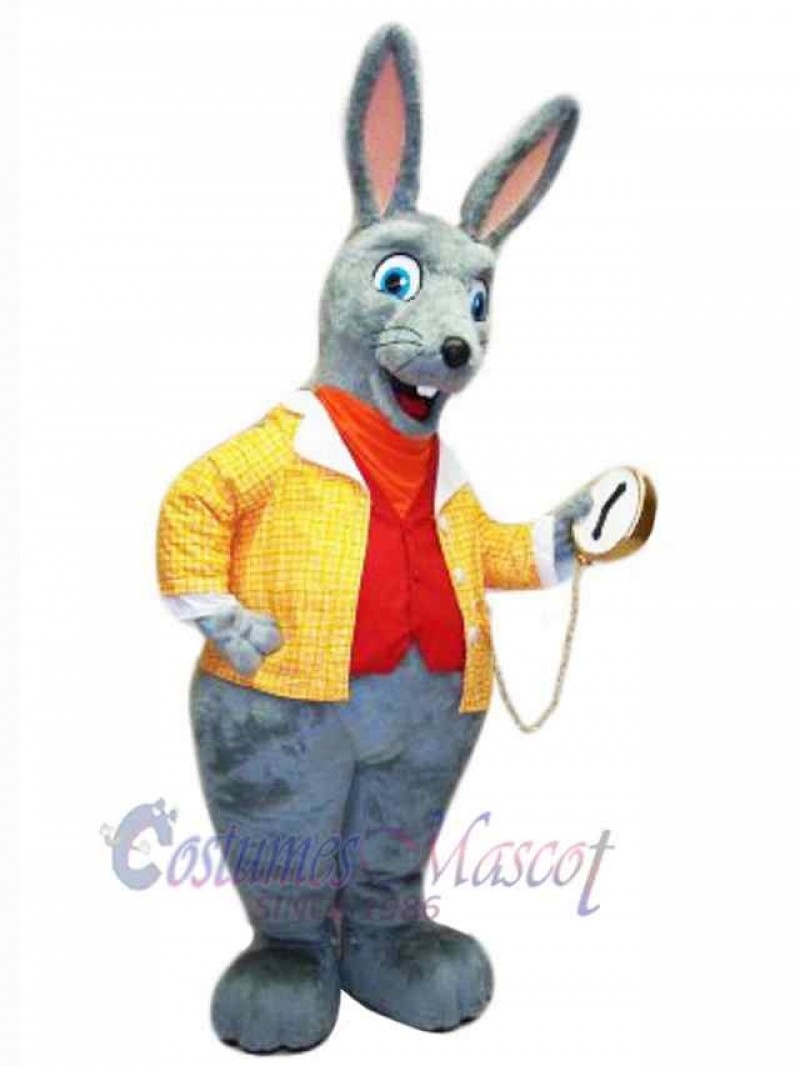 Easter Bunny Rabbit mascot costume