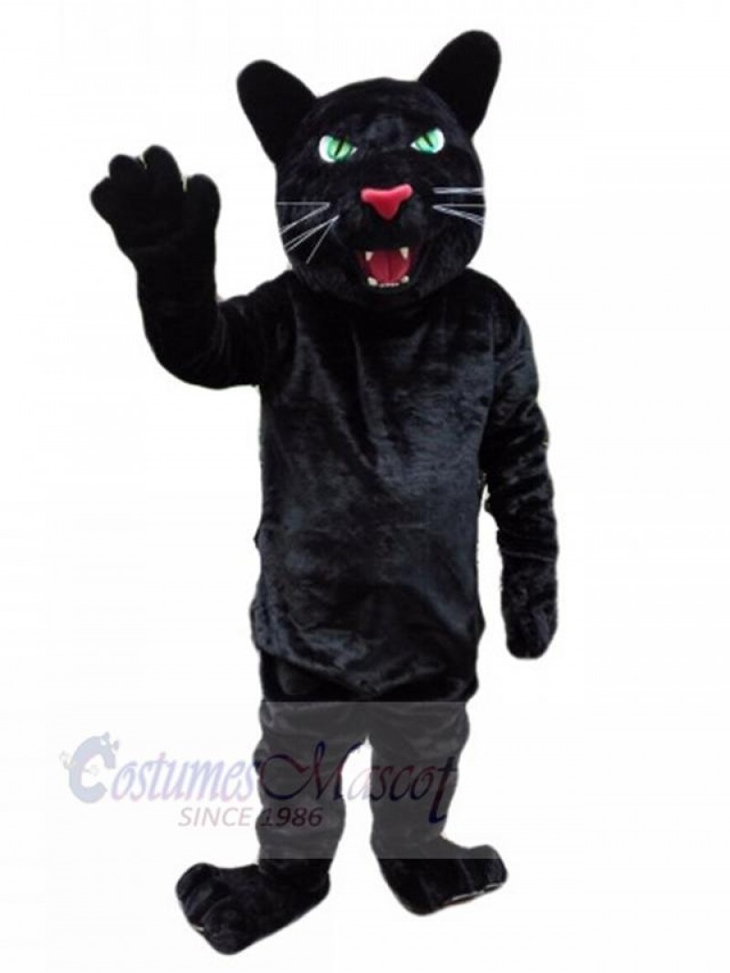 Leopard mascot costume