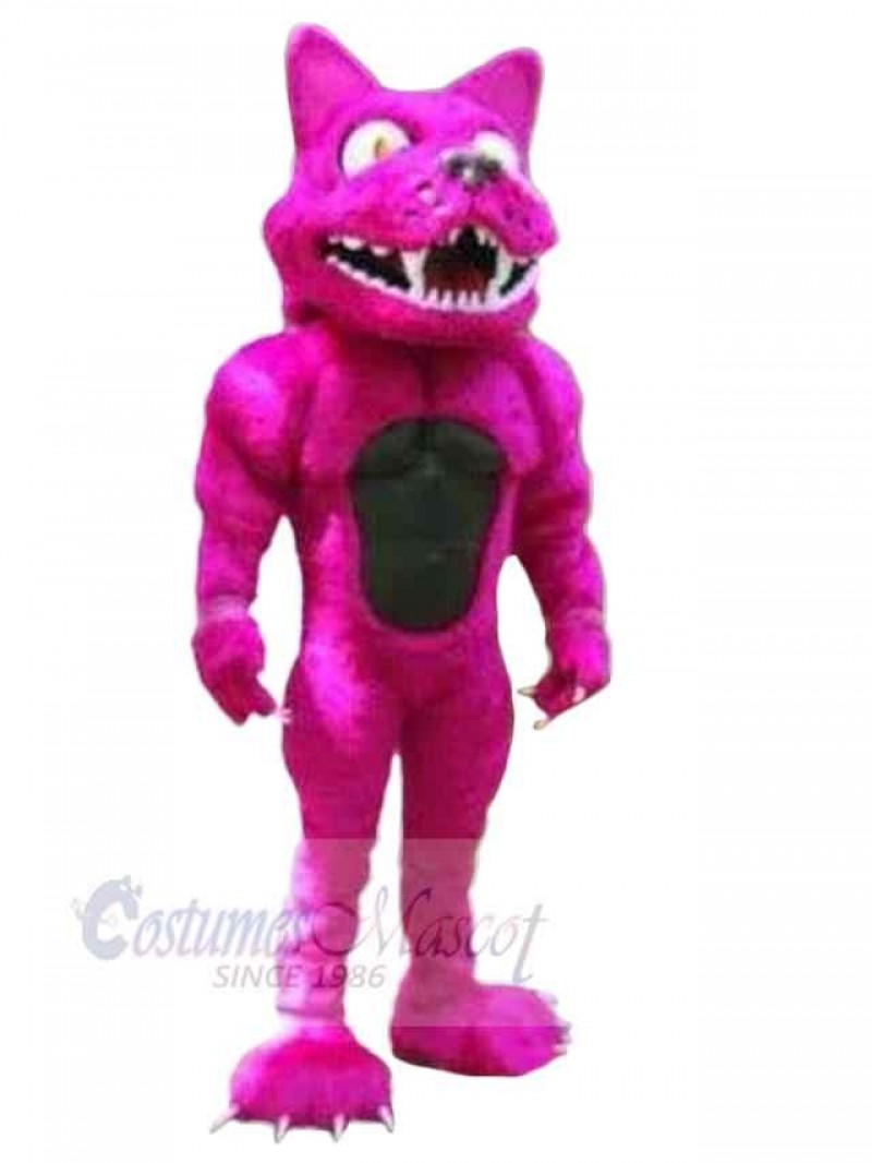 Leopard mascot costume