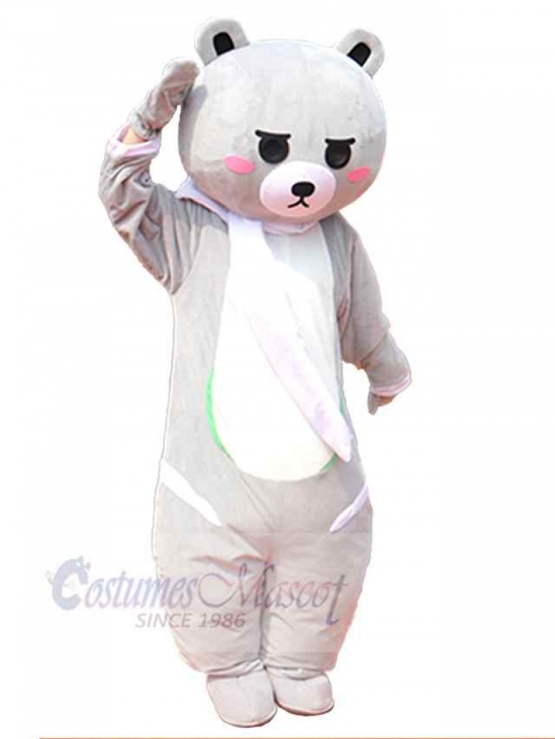 Bear mascot costume
