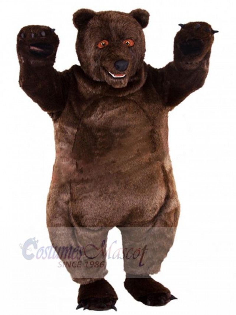 Bear mascot costume