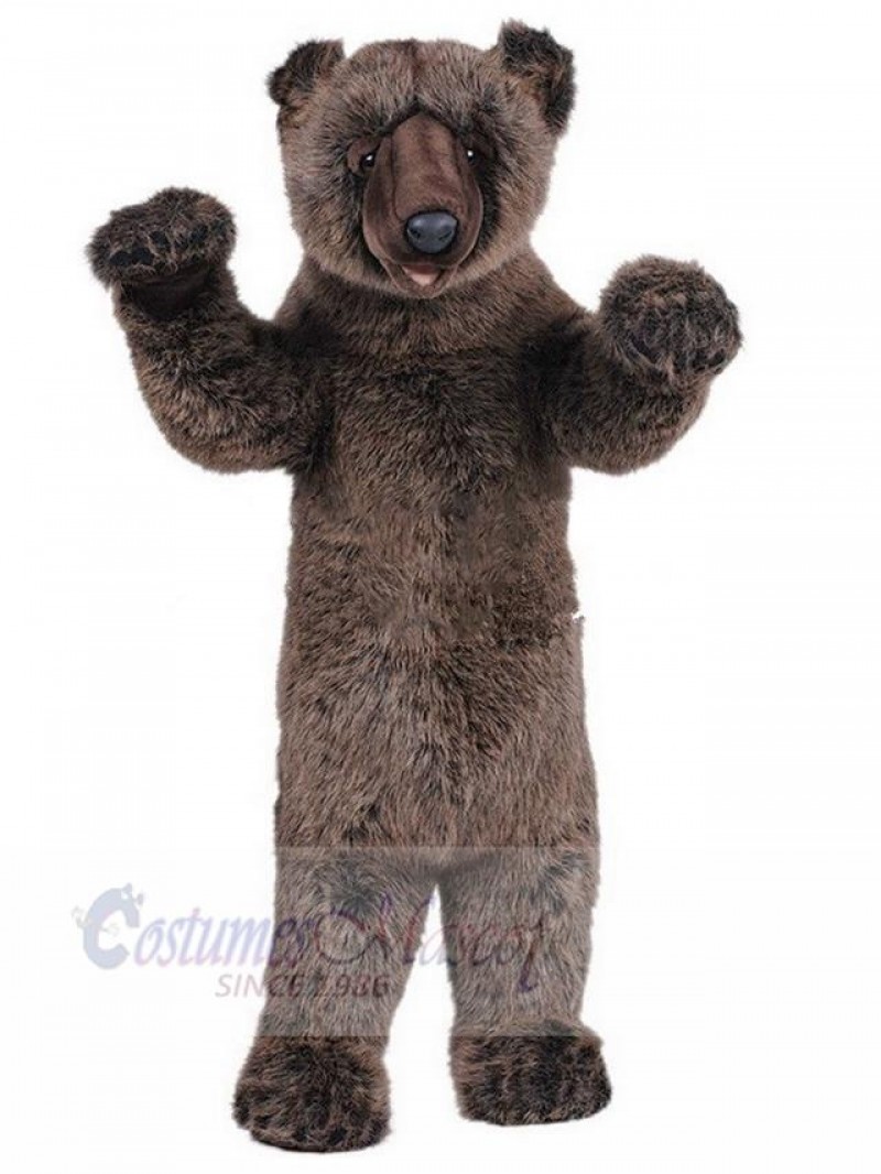 Bear mascot costume