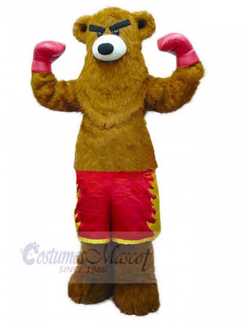 Bear mascot costume