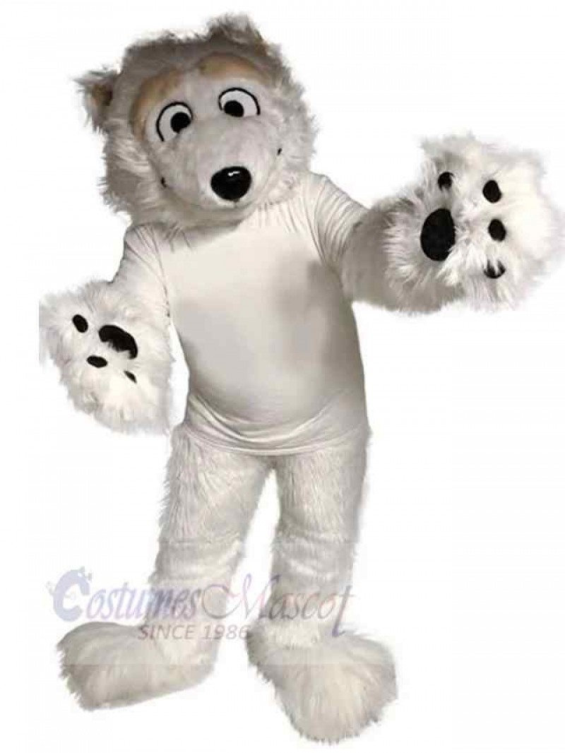 Bear mascot costume