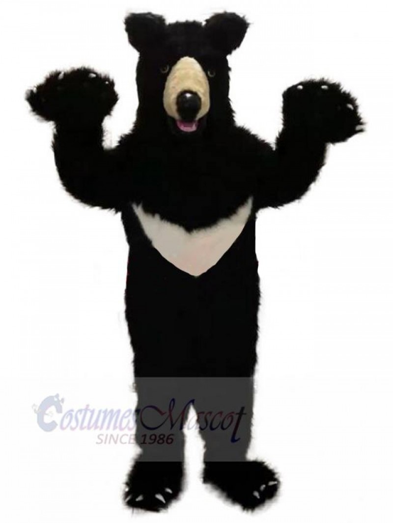 Bear mascot costume