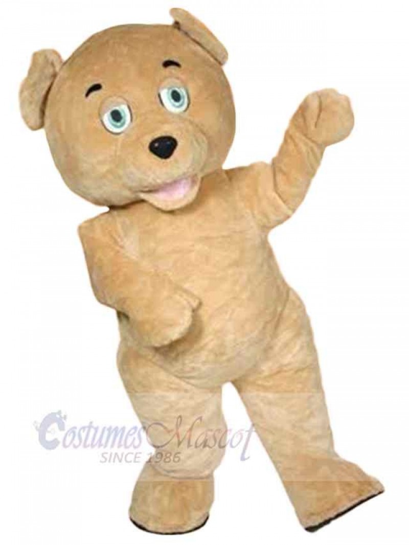 Bear mascot costume