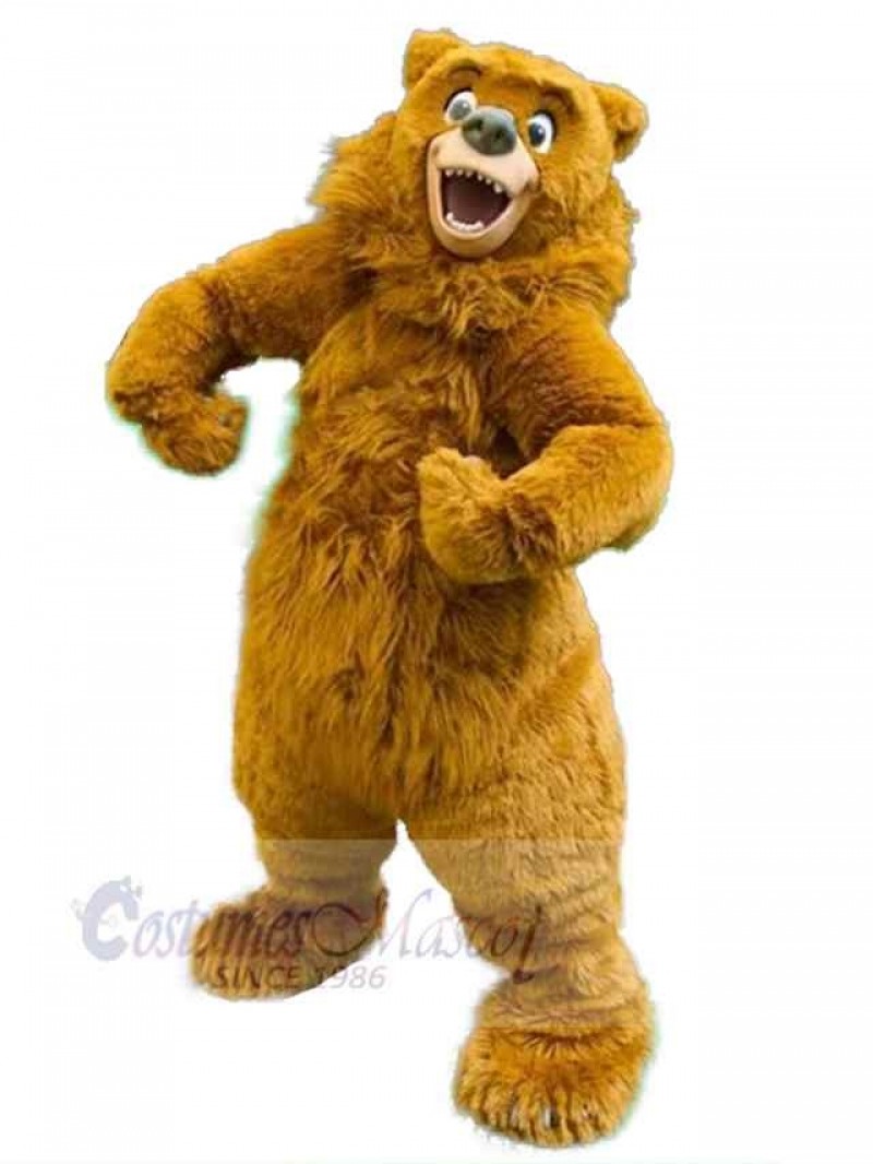 Bear mascot costume