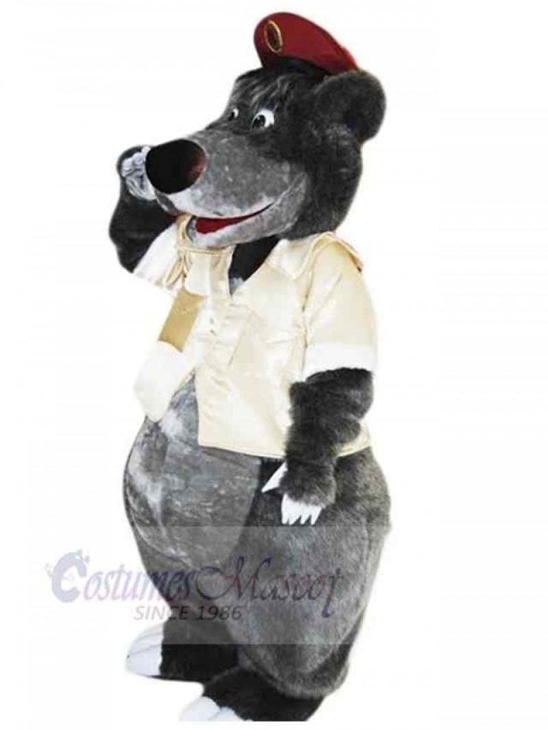 Bear mascot costume