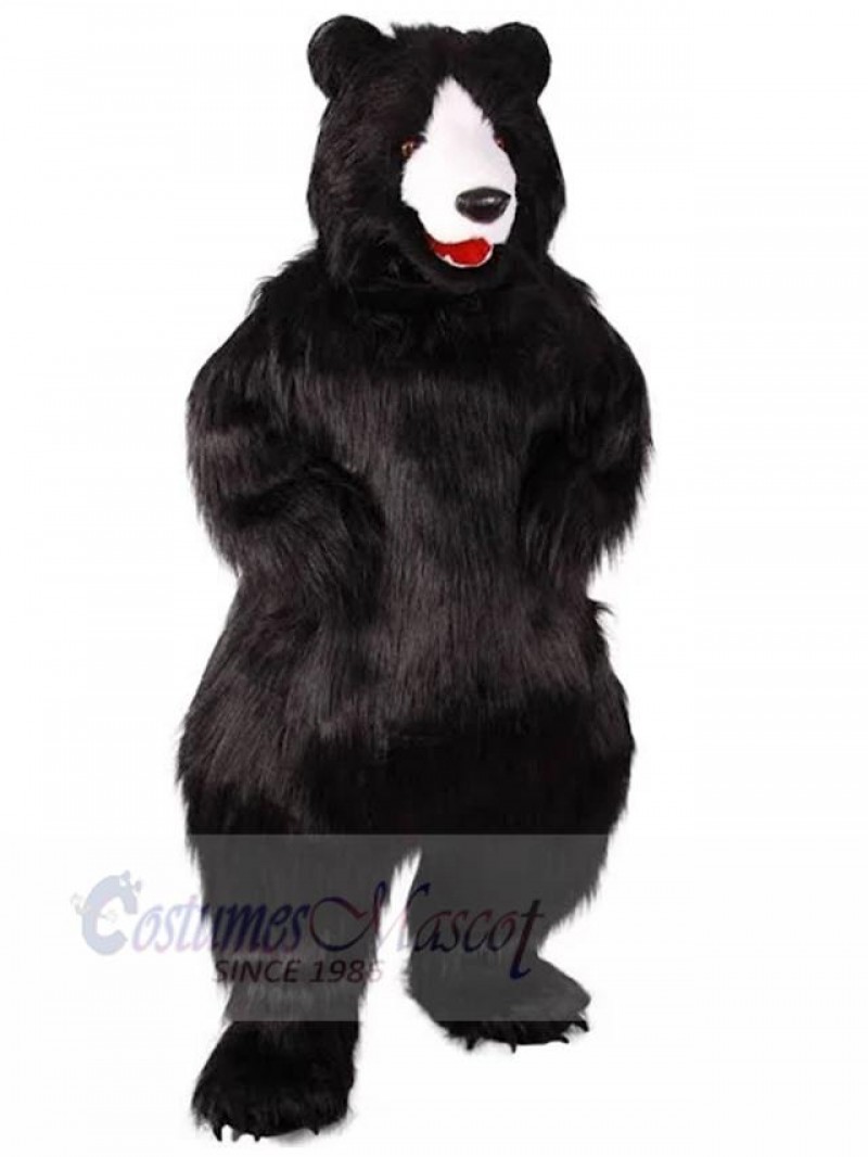 Bear mascot costume